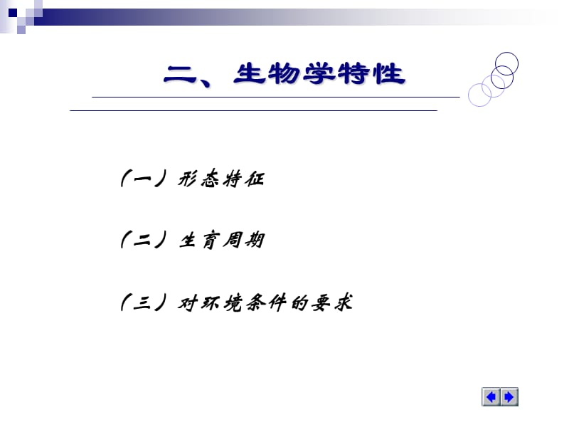 第五部分球茎茴香.ppt_第3页