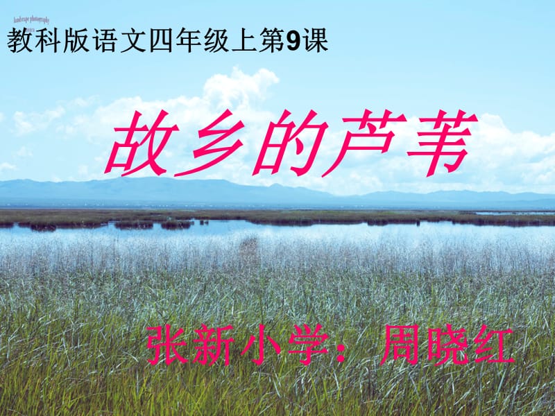 故乡的芦苇课件.ppt_第1页