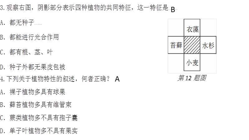 地面上的植物.ppt_第2页