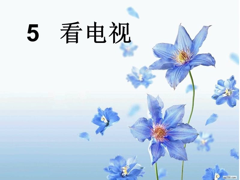 杜宏霞《看电视》.ppt_第1页