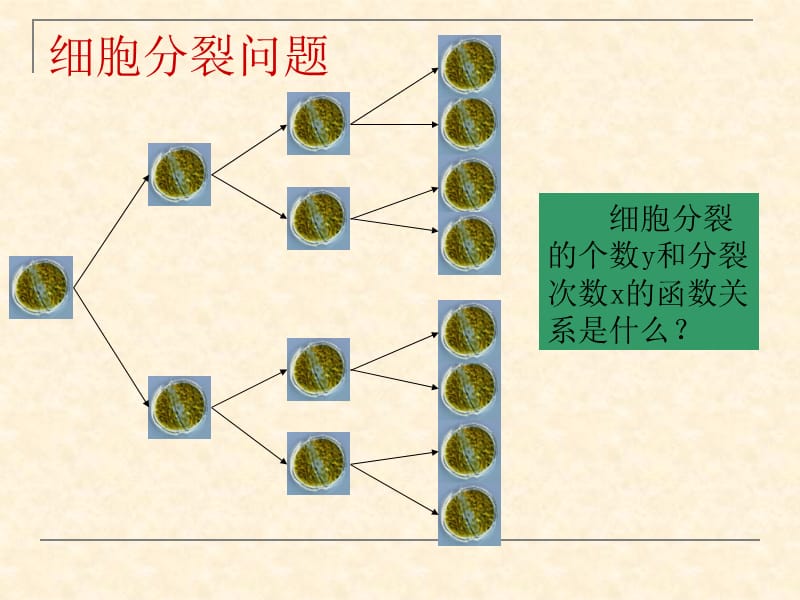 对数函数的概念.ppt_第2页