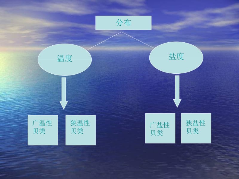 第六章贝类的生态.ppt_第2页