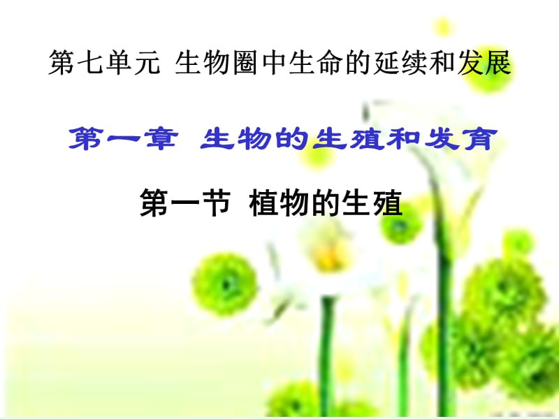 第一章第一节植物的生殖.ppt_第2页