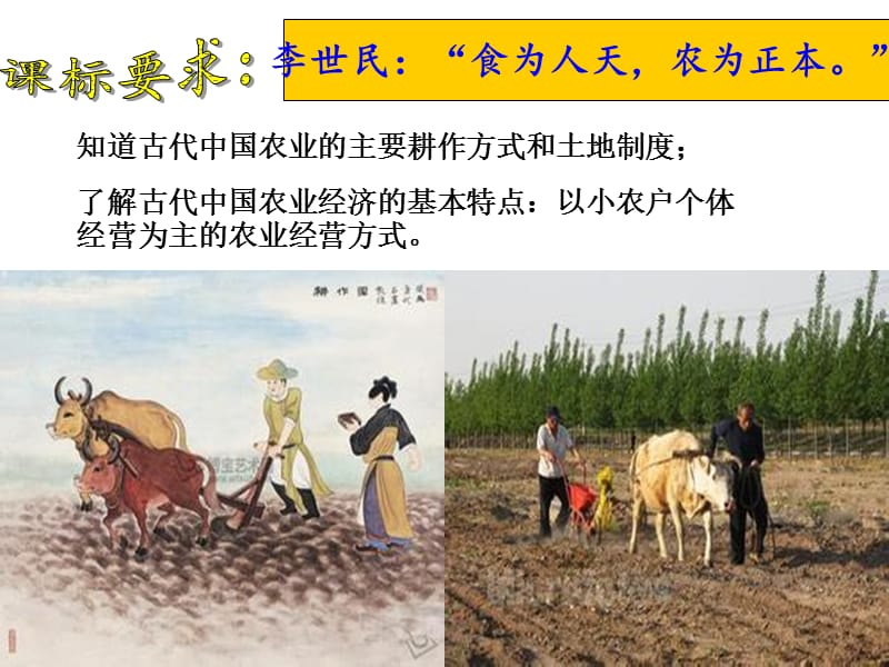 古代中国的农业经济.ppt_第2页