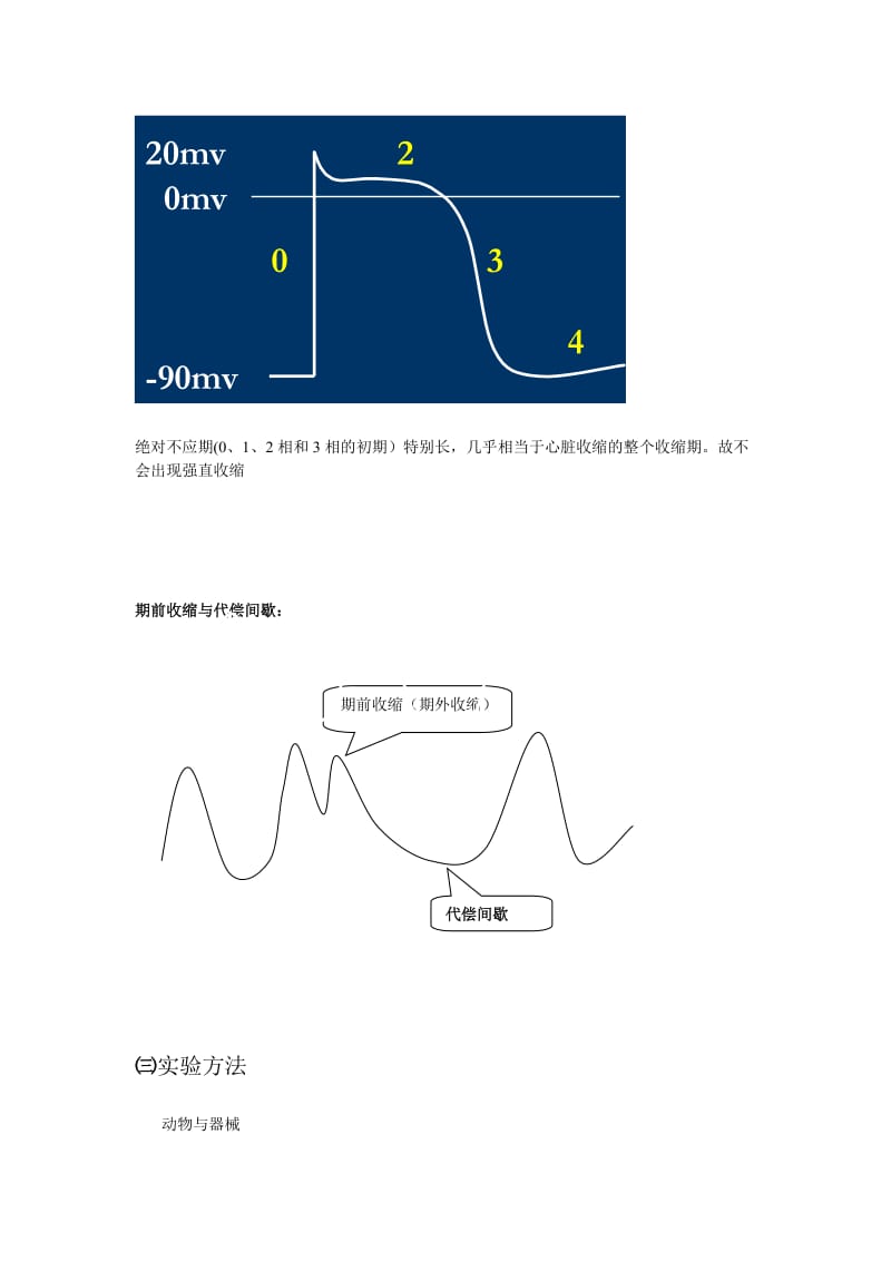 期前收缩和代偿间歇.doc_第2页