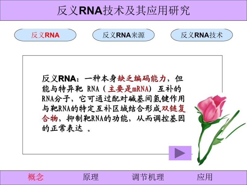 2-7反义RNA技术及其应用研究.ppt_第2页