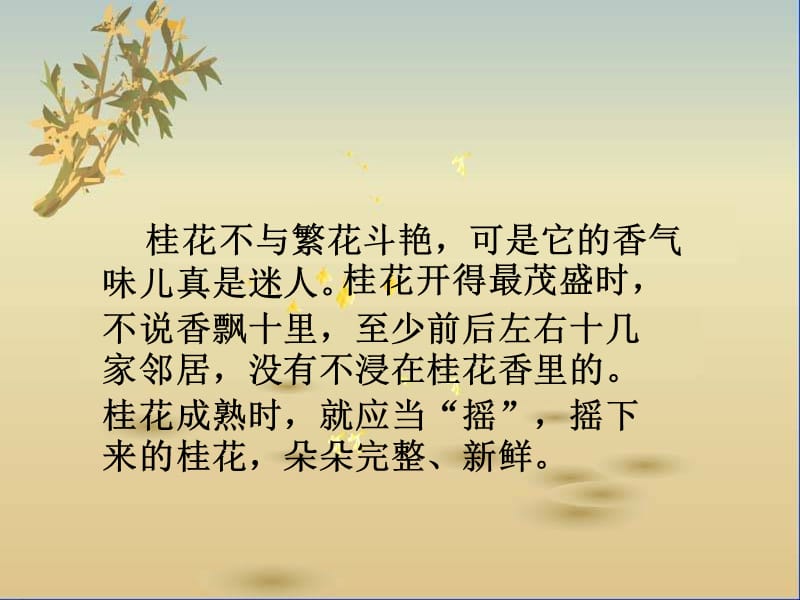 公开课桂花雨.ppt_第2页