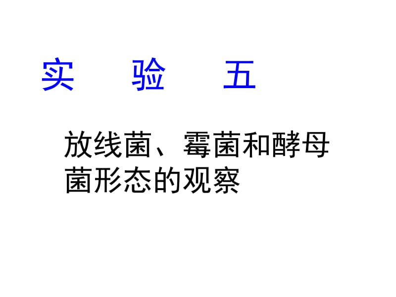 06实验六放线菌、酵母和霉菌形态的观察.ppt_第1页