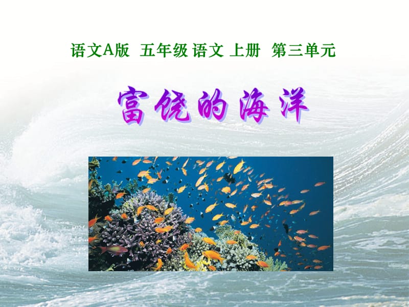 富饶的海洋先学后教.ppt_第1页