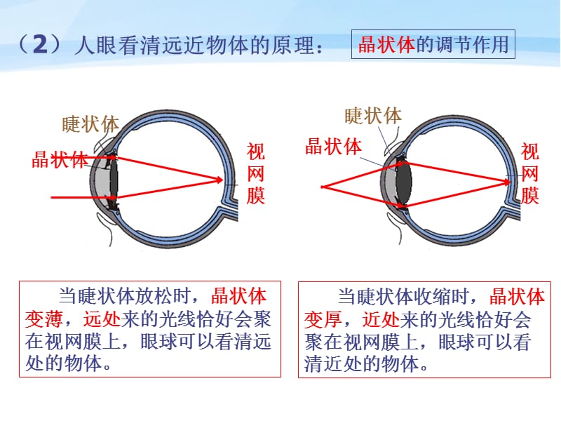 初中物理上册第三章第四节眼睛与眼镜课件人教新课标版.ppt_第3页