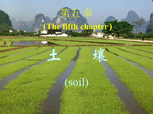 第五章Thefifthchapter.ppt