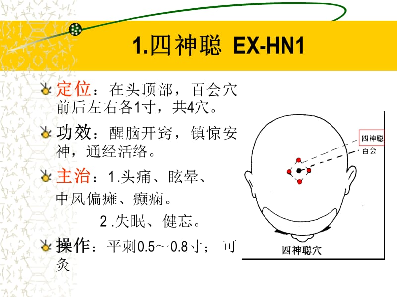 经外奇穴修正版.ppt_第2页