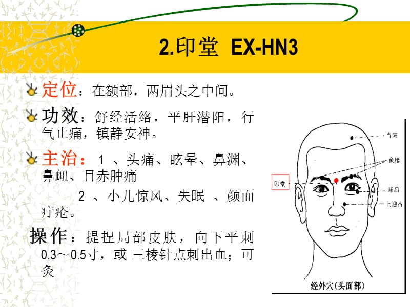 经外奇穴修正版.ppt_第3页