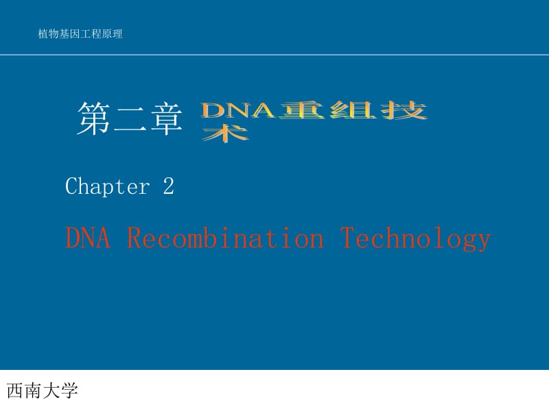 02=DNA重组技术=2013.ppt_第1页