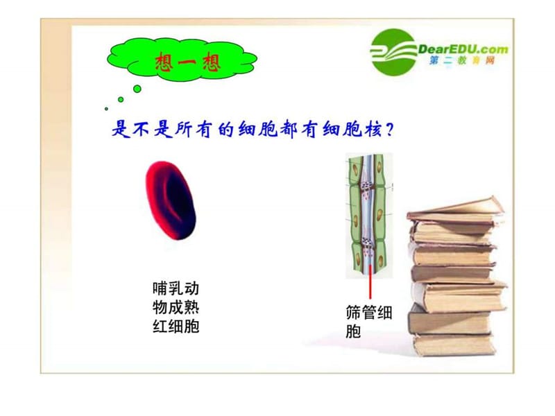 高中生物 细胞核优质课课件 新人教版必修1.ppt.ppt_第2页