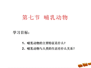 哺乳动物课件.ppt