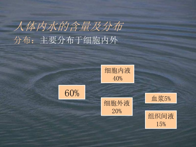 人体对水的需要.ppt_第2页