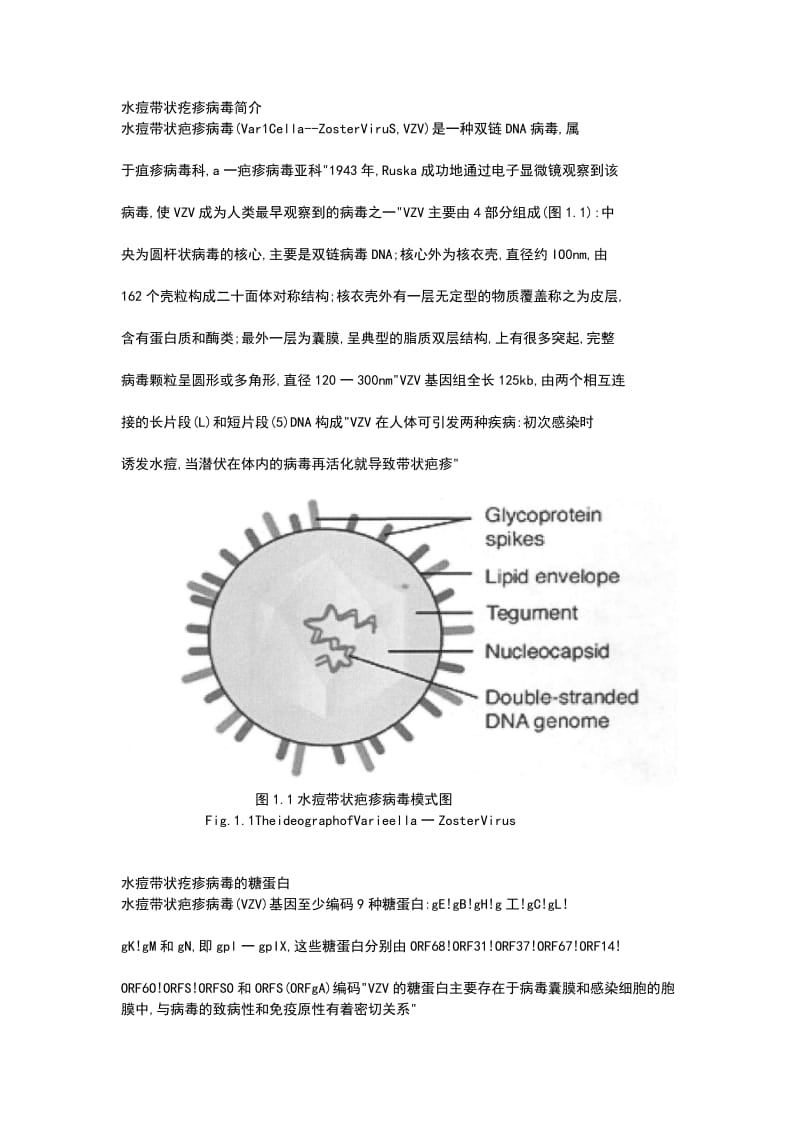 水痘及其防治文献、.doc_第2页