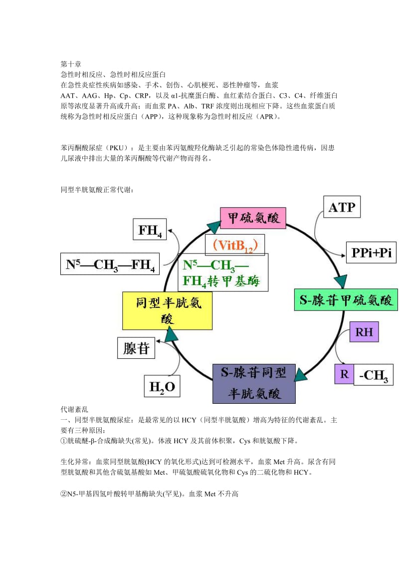 生化检验.doc_第2页