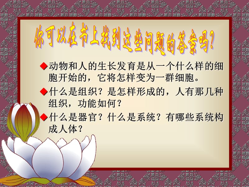 动物体的结构层次-人教版新课标.ppt_第2页