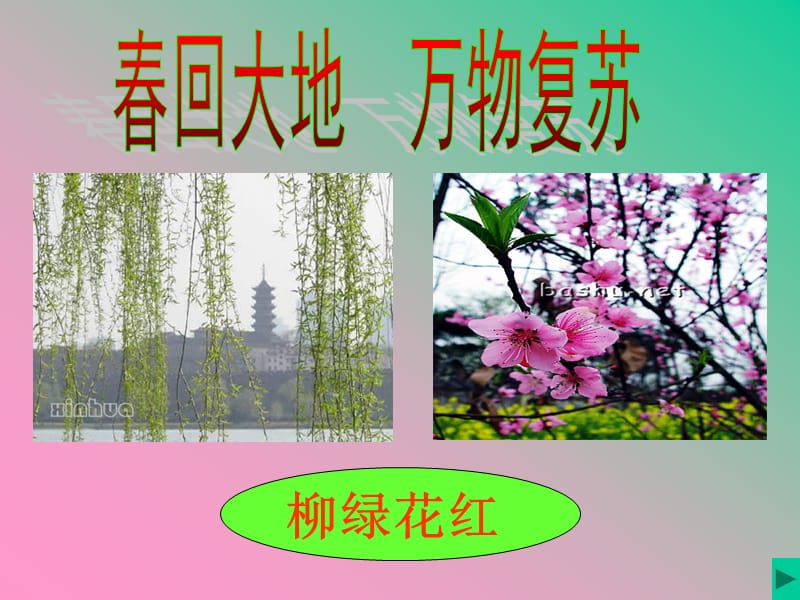 春天的色彩 (2).ppt_第3页