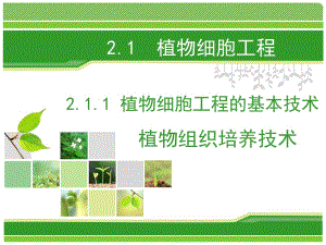 2-1植物细胞工程的基本技术.ppt