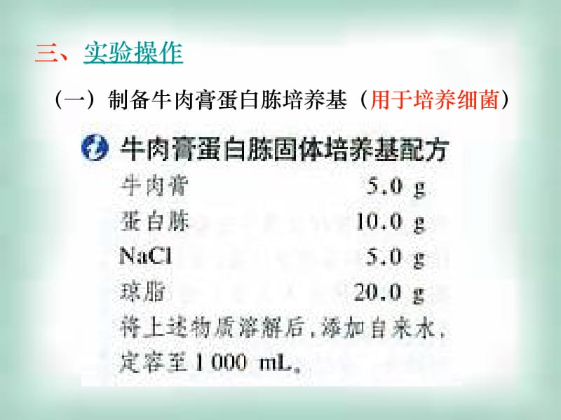 第三课时纯化大肠杆菌.ppt_第2页