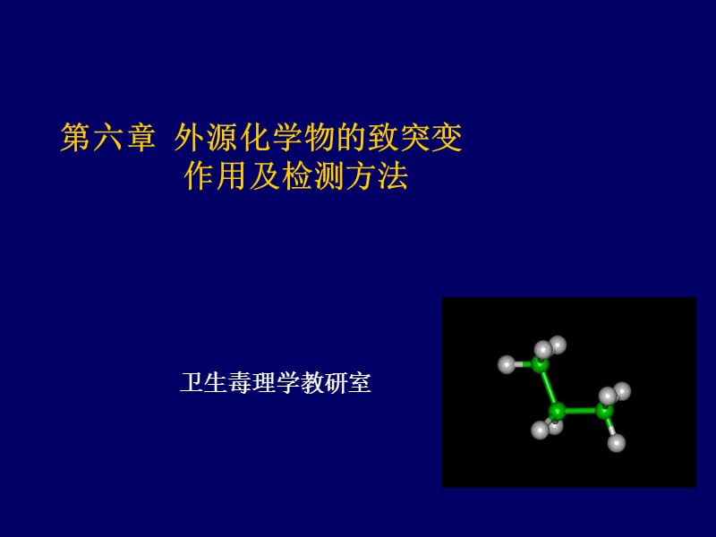 六章节外源化学物致突变作用及检测方法.ppt_第1页