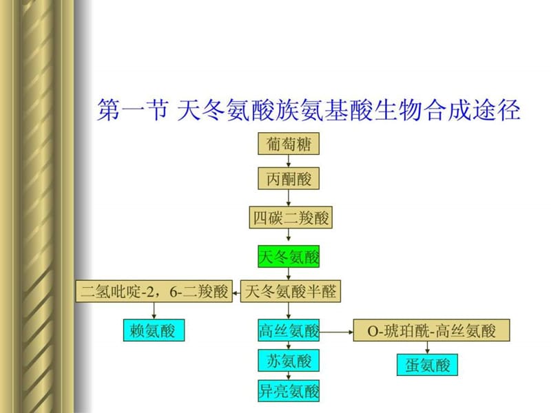 第九章天冬氨酸族氨基酸发酵.ppt.ppt_第2页