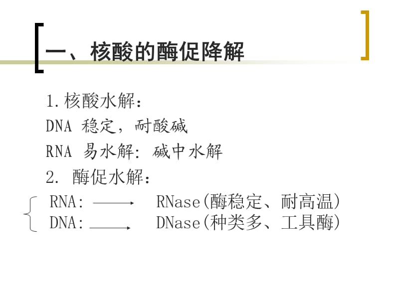 dd核酸的降解和核苷酸代谢.ppt_第2页