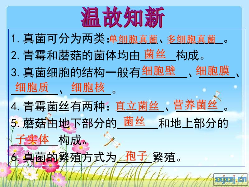 544细菌和真菌在自然界中的作用.ppt_第1页