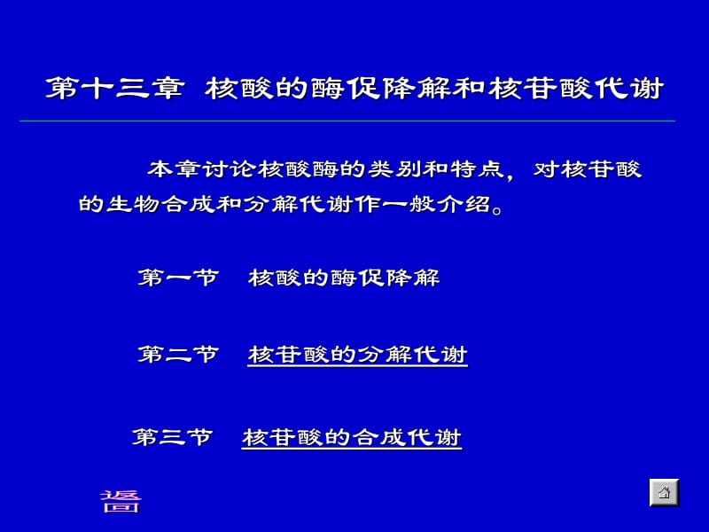 13-核苷酸代谢.ppt_第1页