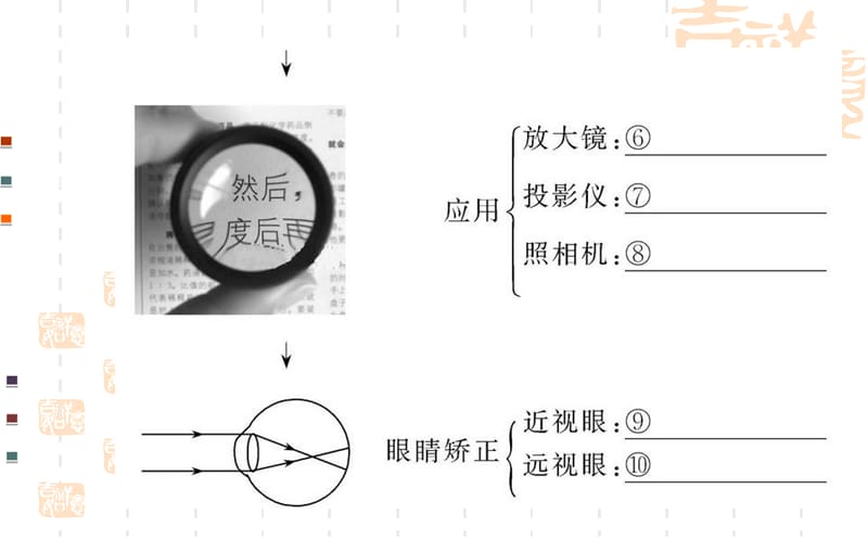 第五章复习叶公中学安艳芳.ppt_第3页