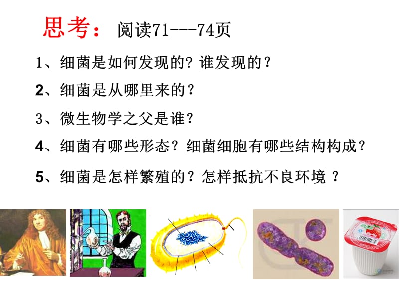 第二节细菌富源县第六中学侯汝翠.ppt_第3页