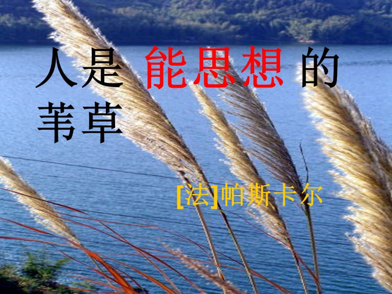 人是的苇草.ppt_第1页