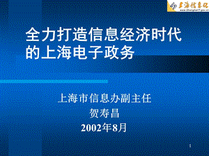 全力打造信息经济时代上海电子政务.ppt