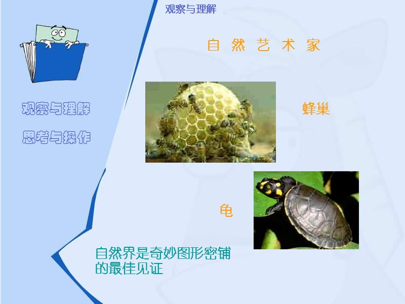 奇妙的图形密铺.ppt_第3页