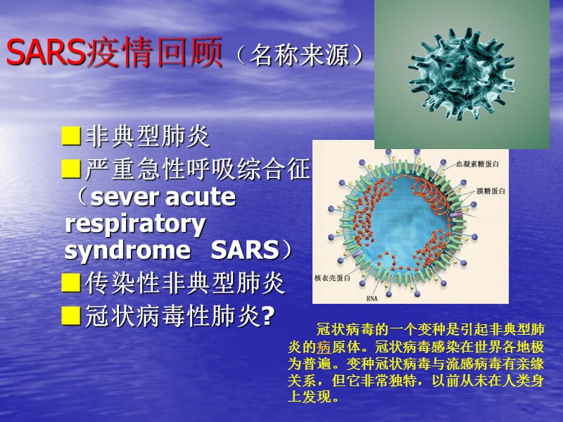 海南省CDC陈言.ppt_第3页