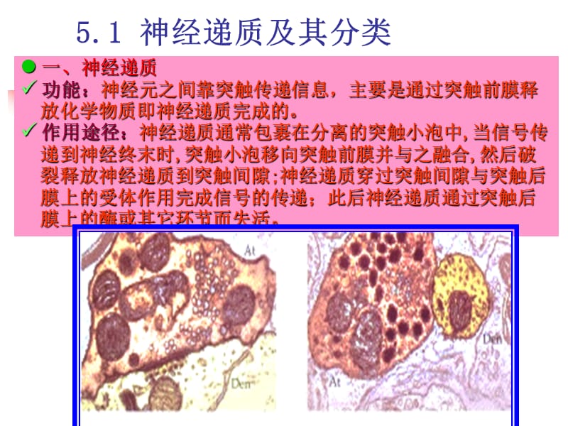 第五部分神经递质和神经调质.ppt_第2页