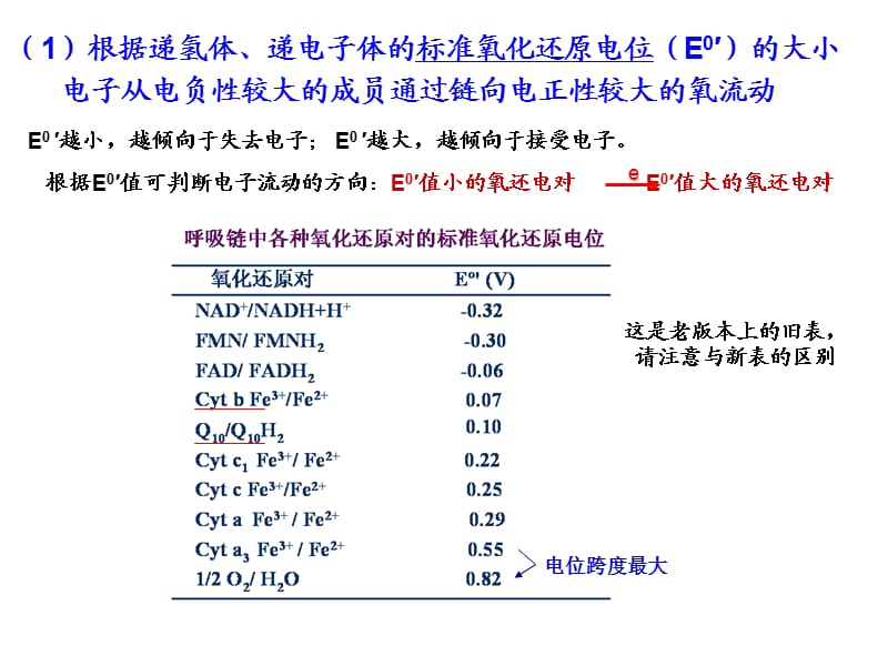 5生物氧化-2.ppt_第2页