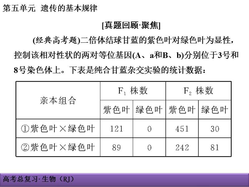 5、遗传的基本规律.ppt_第1页