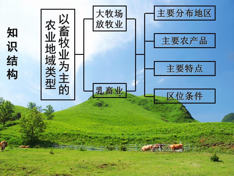 畜牧业为主的农业地域类型.ppt_第3页