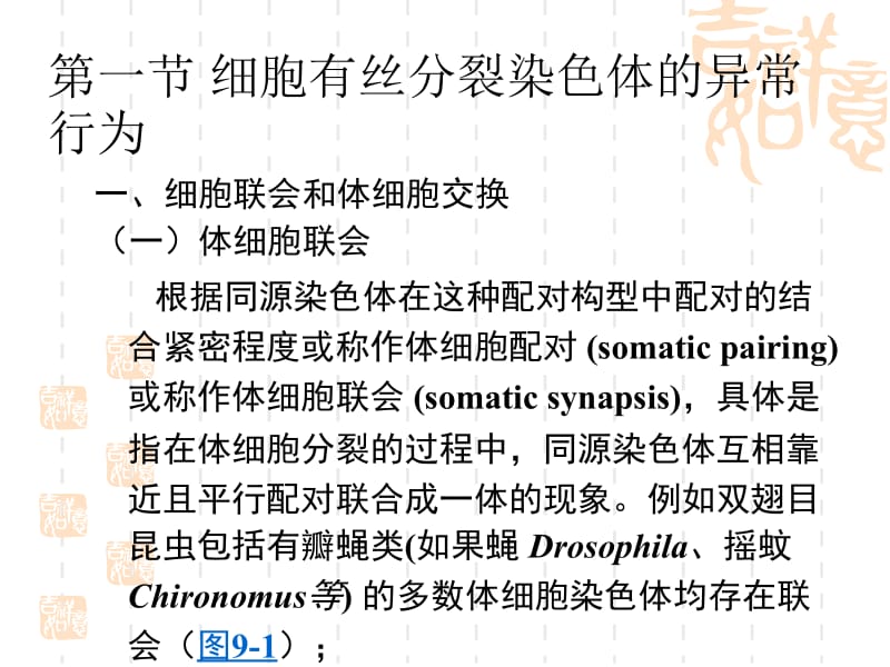 第九章染色体的异常细胞遗传学行为1.ppt_第2页