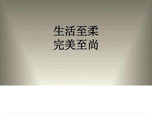 笔记本电脑彩贴---产品展示.ppt.ppt