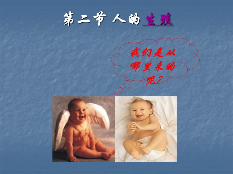 第二节人的生殖.ppt_第1页