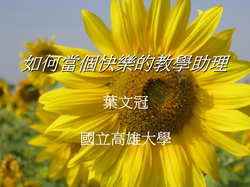 如何当个快乐教学助理.ppt_第1页