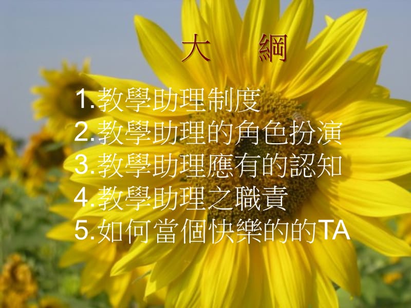 如何当个快乐教学助理.ppt_第2页