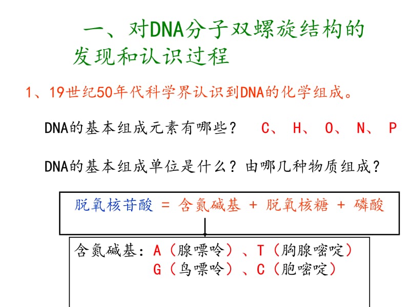 32DNA的分子结构.ppt_第2页