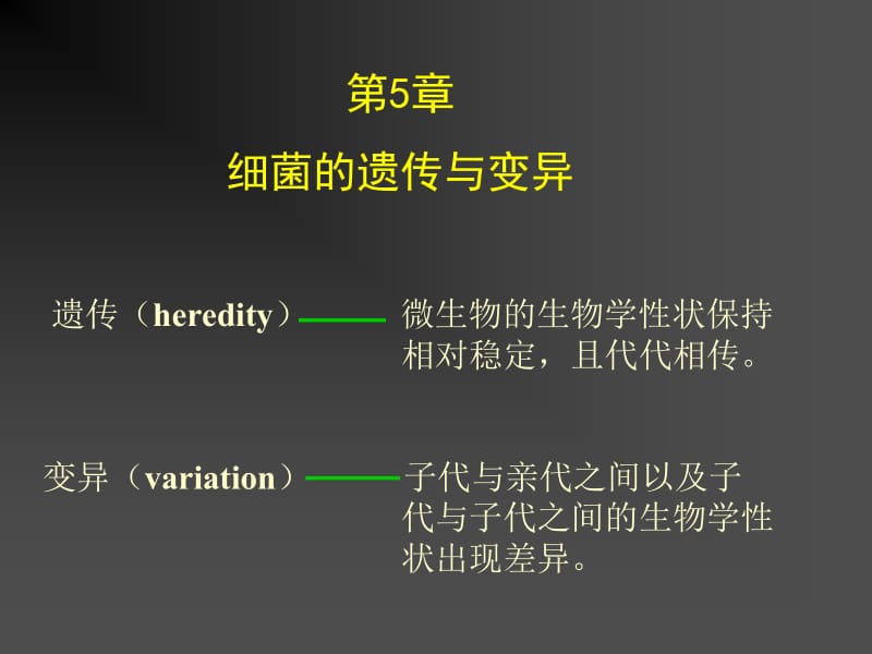 5遗传与变异.ppt_第1页