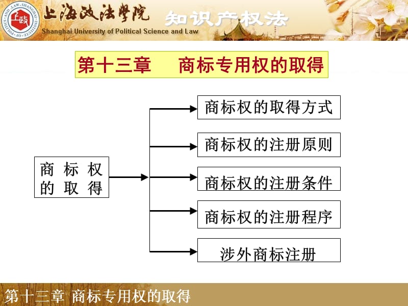 第十三章商标专用权的取得.ppt_第1页